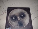 STEVEN WILSON / PORCUPINE TREE - LUMINOL  - 12