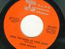 NORTHERN ORIGINAL  DONI BURDICK  OPEN THE DOOR TO YOUR HEART  SOUND IMPRESSION