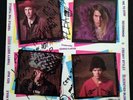 Signed Freaky Styley LP - Red Hot Chili Peppers - RARE Hillel Slovak Signature