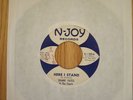 Duane Yates and The Capris Monroe LA Here I Stand/Hold It 1965 Southern Soul 45