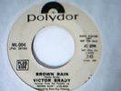 Victor Brady: Brown Rain / Hallucinodream promo 45 Polydor 7