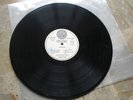 LP 33 GIRI VERTIGO OCTOPUS - GENTLE GIANT 6360 080 A  MADE ITALY 1972