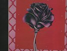 BLACK ROSE    SOUTH AFRICAN  METAL  LP  LIVE BY IT