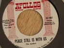 RARE Apollos Show Band 