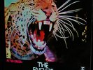 ORIG 1970 RIPPING PSYCH BLUES   PETER GREEN   FLEETWOOD MAC   END OF THE GAME