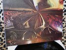 EGG- THE POLITE FORCE-SHOT 10    - DISCHI VINILE  33GIRI 12