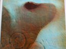 PINK FLOYD MEDDLE UK GATEFOLD STEREO LP SHVL 795 EMI/HARVEST A6/B5 ECHOES VG+