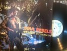 BOB MARLEY & THE WAILERS (33t) LP