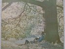 YOKO ONO VINLY LP PLASTIC ONO BAND SAPCAR 17 A/B 1 U ORIGINAL 1970 BEATLES