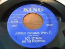 Roy Estrada & the Rocketeers Jungle Dreams rare King 45 Mothers of Invention