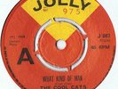 The Cool Cats/Hemsley Morris What Kind of Man/Little Things UK 1968 Jolly JY 007