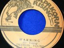 DESMOND YOUNG WARNING JA CAPRICORN RISING 45 Roots Murder 1975 RARE ORIGINAL EX