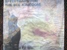 HOWLING WOLF ORCHESTRA SPEEDTRAPS FOR THE BEE KINGDOM EP SEALED GBV LIMITED 500