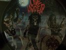 Slayer Live Undead 1st Press Picture Disc LP Metal Blade 85 Printed Sleeve Metal