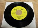 RE-VELLS - I WANT A NEW LOVE 7