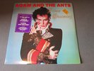ADAM AND THE ANTS 