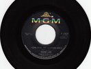 Northern Soul 45 Mamie Lee I Can Feel on MGM HEAR