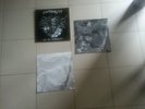 Shpongle VINYL Are You Shpongled
