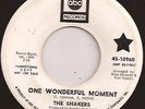 The SHAKERS Abc 10960 PROMO. RARE VG+ R & B POPCORN NORTHERN SOUL KILLER L K