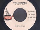 Harvey Scales & Seven Sounds 