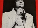 Elvis 