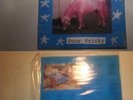 EAST RIVER PIPE - POOR FRICKY lp 12