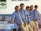 Sg .  -   THE BEACH BOYS  -   THEN I KISSED HER  -  CAR COVER