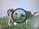 PINK FLOYD Atom Heart Mother 1997 UK release 180grm NM + Poster