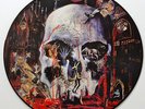 Slayer - South Of Heaven Picture LP Limited Edition 