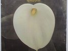 Spencer Jackson Family - Hand Of God LP - ABC Bluesway - Funk Gospel SHRINK MP3