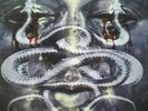 Neurosis through silver in blood LP- punk metal doom converge coalesce  icr 002