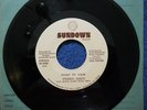 POINT OF VIEW - Frisco Disco 45 Raw Disco Funk Boogie Modern Soul on Sundown NM-