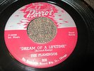THE FLAMINGOS Dream of a Lifetime 45 7