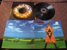 David Bowie Earthling EU Limited Vinyl LP in 1997 Eart hl i ng Earth Glam Rock