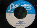 RARE ROCKABILLY RE- BOBBY ROBERTS- BIG SANDY - SKY 45 Killer Rockabilly 2 sider