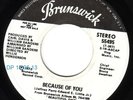 JACKIE WILSON Because Of You (US Brunswick 55495) orig 1973 white demo EX HEAR