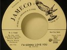 Edward Hamilton and the Fifes Promo 45 I'm Gonna Love You-Jameco