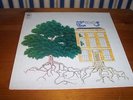 TREES THE GARDEN OF JANE DELAWNEY CBS UK ORIG 1ST PRESS NICE COPY
