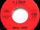 Royal Teens - Was It A Dream - The Moon -  Capitol 4335 - Doo-Wop - 1959