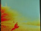The Flaming Lips: The Terror 2LP L.E. Silver Vinyl
