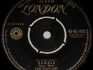 LINK WRAY & HIS RAY MEN 