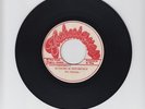 TECHNIQUES/NOTHING IS IMPOSSIBLE  -  THE INTERNS   ( 75  REGGAE 7