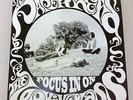 THE PAPERHEAD - FOCUS IN ON THE LOOKING GLASS LP mikal cronin ty segall woods