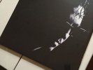 Richard Hawley - Truelove's Gutter very rare LP new sealed
