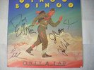 Only A Lad, Oingo Boingo, Vinyl LP -Rare: Signed by 8 band members