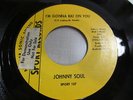 JOHNNY SOUL I'm Gonna Rat On You 45 SPORT 60's soul VG+