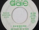 HEAR garage psych DICK WAGNER & THE FROSTS Sunshine DATE freakbeat mod fuzz mp3