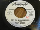 GR8 GARAGE PUNK 45 ; THE SEEDS; TRY TO UNDERSTAND/ THE OTHER PLACE