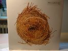 Wilco, A ghost is born, 2x 180 gr. LP's