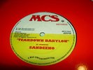 SANDEENO 12'' TEARDOWN BABYLON MCS SHAKA KILLER DIGI ROOTS